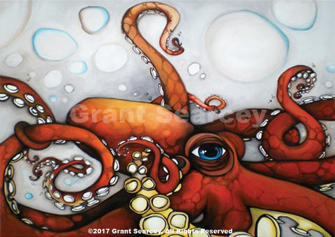 Blue Eyed Octopus