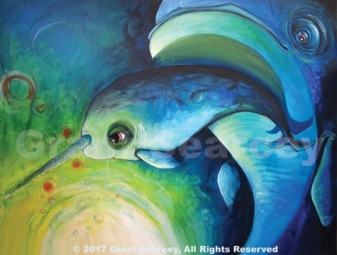 Discovery - Narwhals