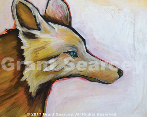 Coyote - The Trickster