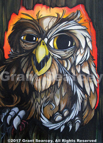 Grandfather Owl