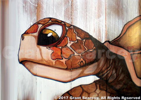 Turtle Head on Wood
