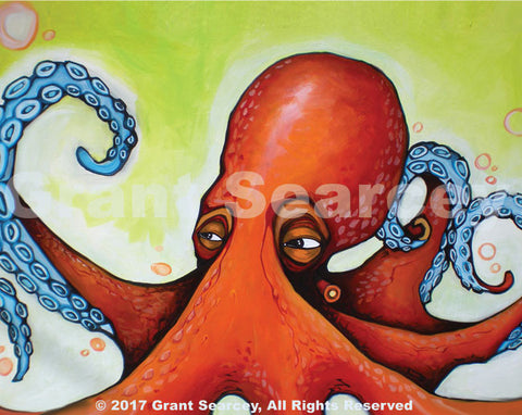 Orange Wise Octopus